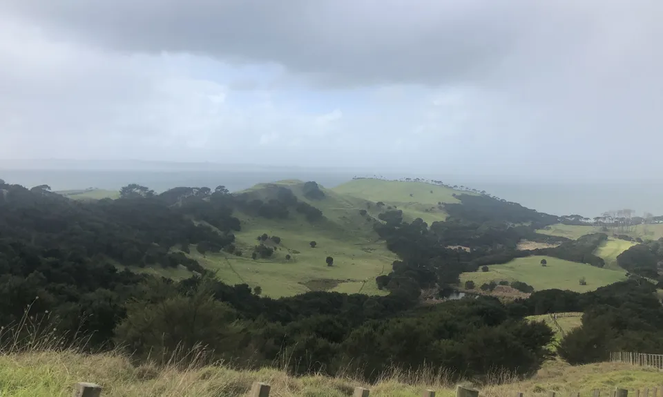 Te Rau Puriri Regional Park, Auckland