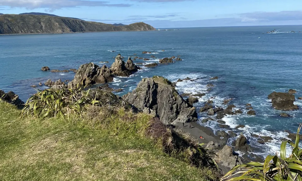 Oruaiti Reserve, Wellington