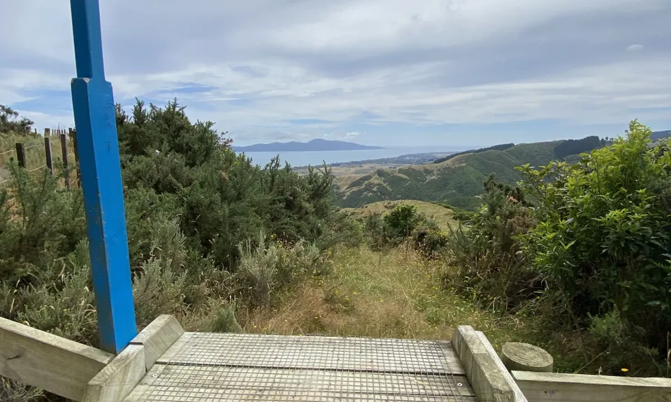 Whararoa Farm Steps, Wellington