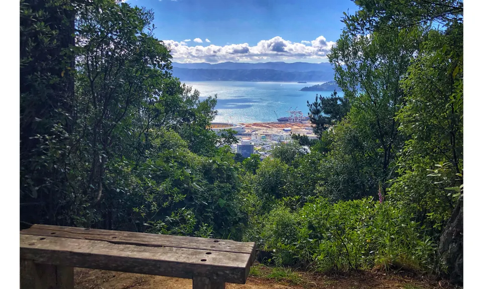 Linking the Reserves, Wellington