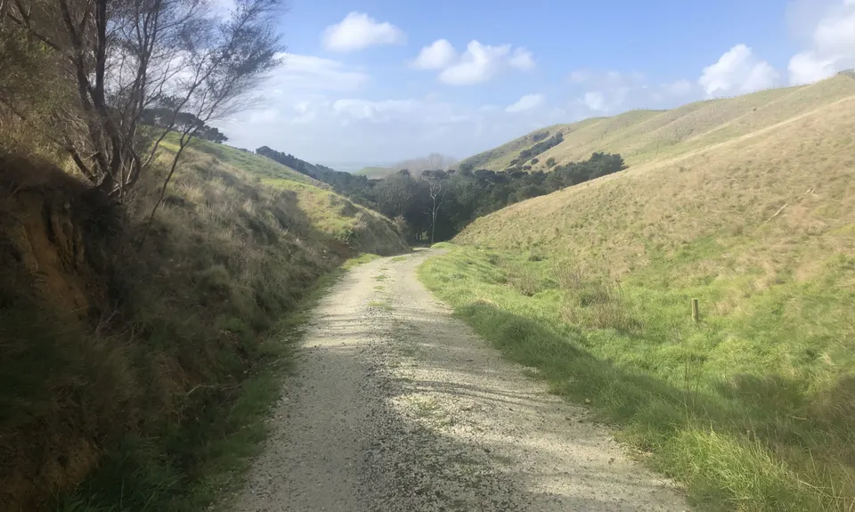 Te Rau Puriri Regional Park, Auckland