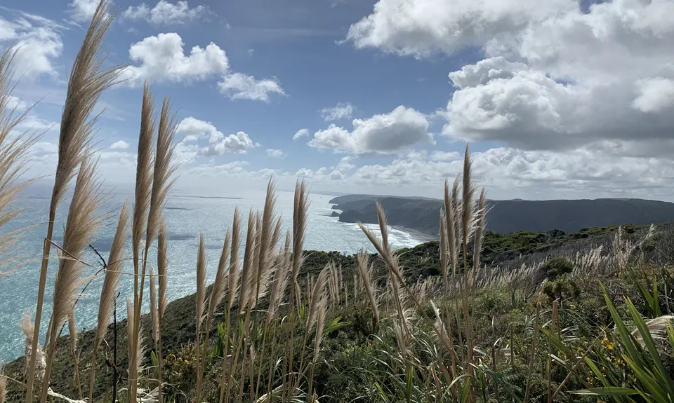 Mercer Bay Magic, Auckland