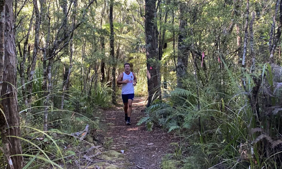 Aongatete Loop, Bay of Plenty