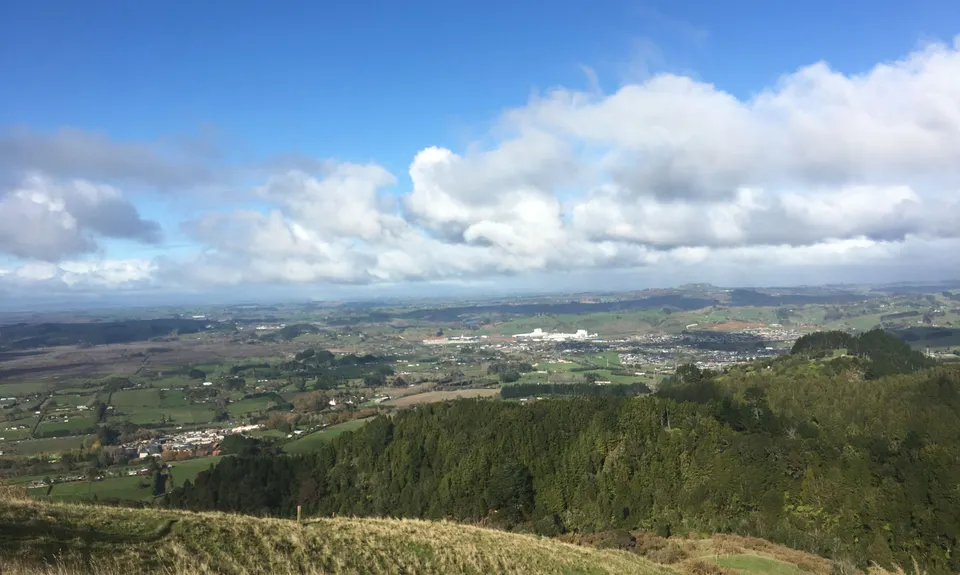 Mt William Wacky Walkway, Auckland