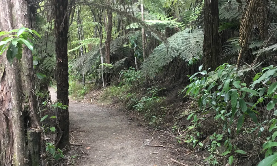 Puke Ariki (Point View Reserve), Auckland