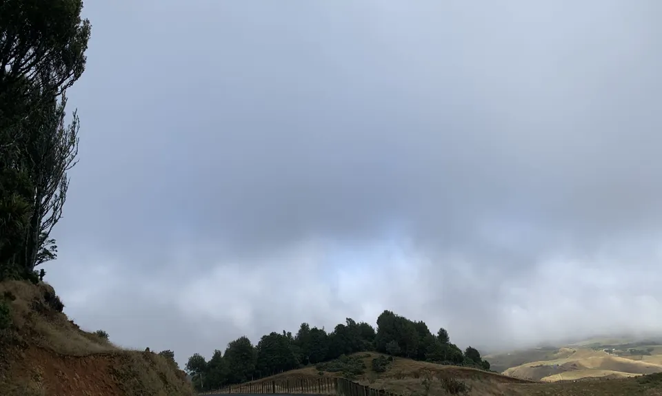 Pipiwharauroa Trail, Waikato
