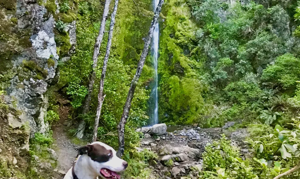 Mt Isobel , Canterbury