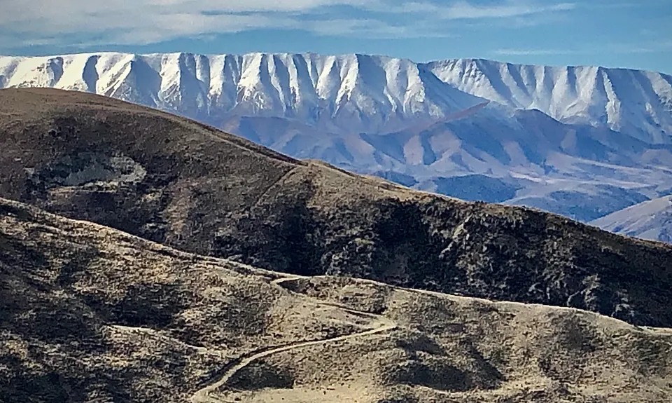 Long Gully Loop, Otago