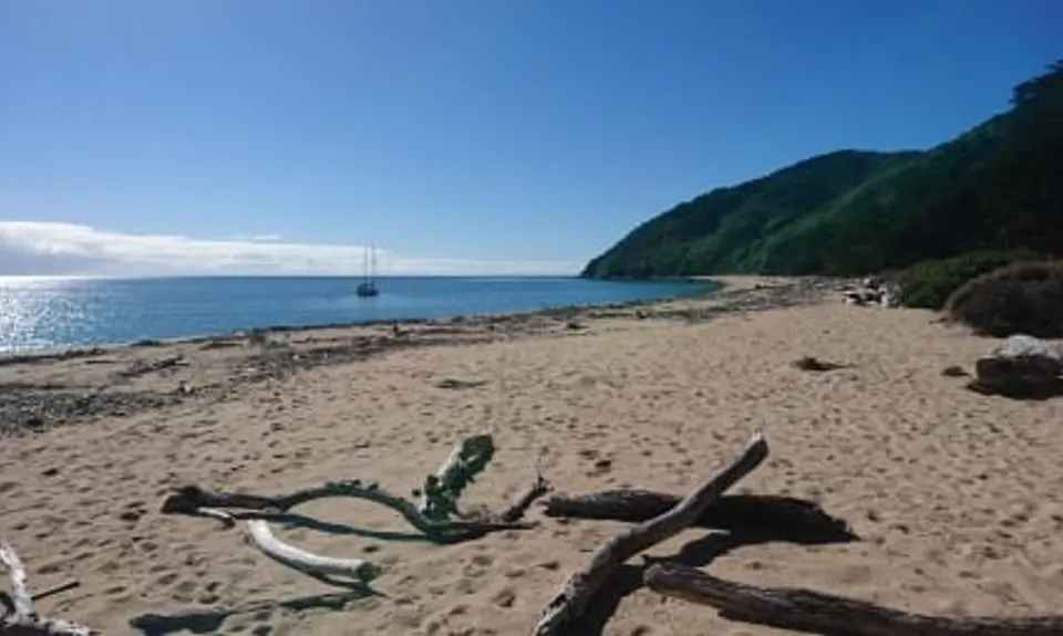 Gibbs Hill Loop, Tasman