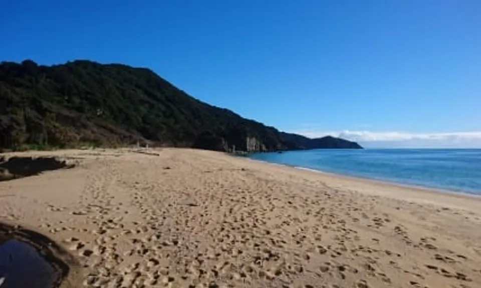 Gibbs Hill Loop, Tasman