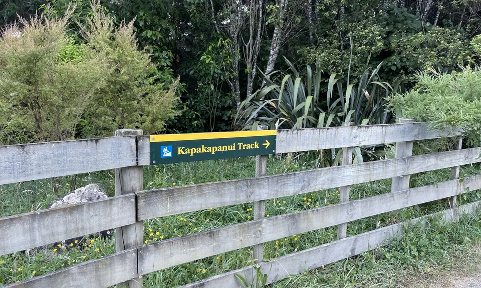 Kapakapanui