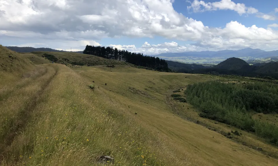 Maratoto To Golden Cross, Waikato