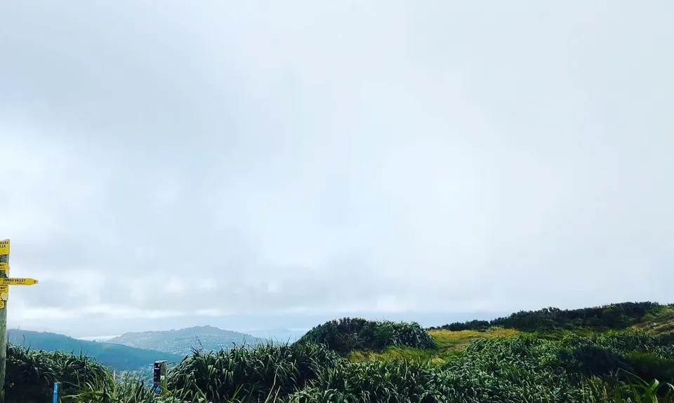 Makara Peak Grand Loop, Wellington
