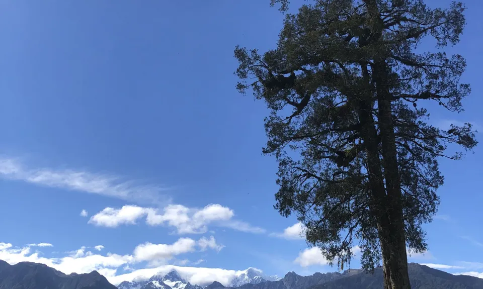 Lake Matheson Meander, West Coast
