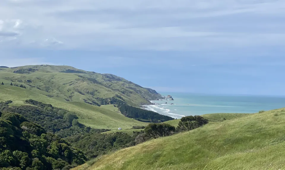 Tweedies Gully New Track, Canterbury