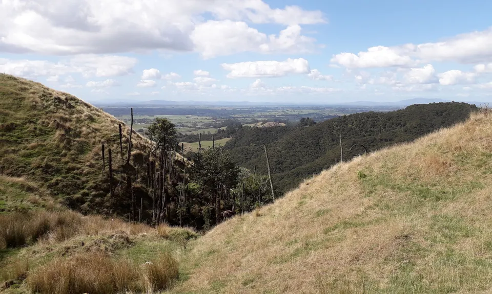 Karamu Walkway South, Waikato