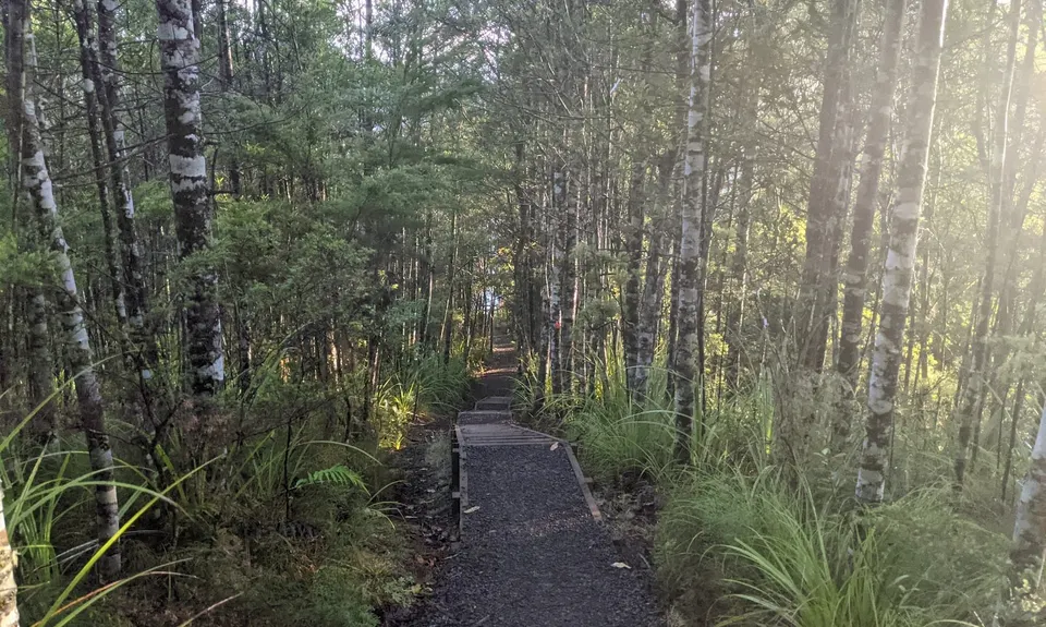 Wairoa Suspension Loop, Auckland