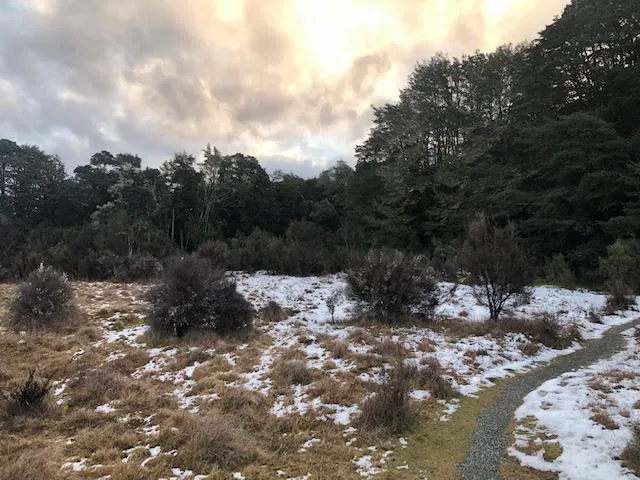 Waiau River Loop, Southland