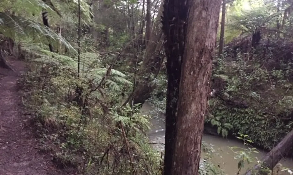 Station to Station,  North Shore Urban Trails, Auckland