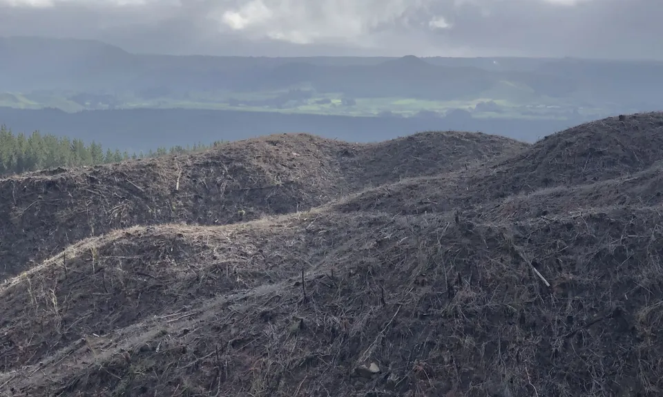RTRC Club Track Loop, Bay of Plenty