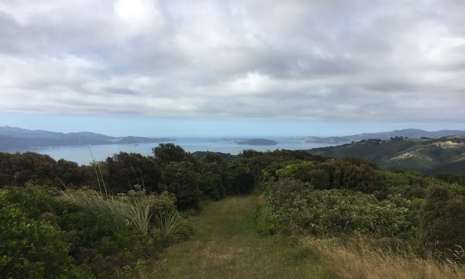 Belmont Trig, Wellington