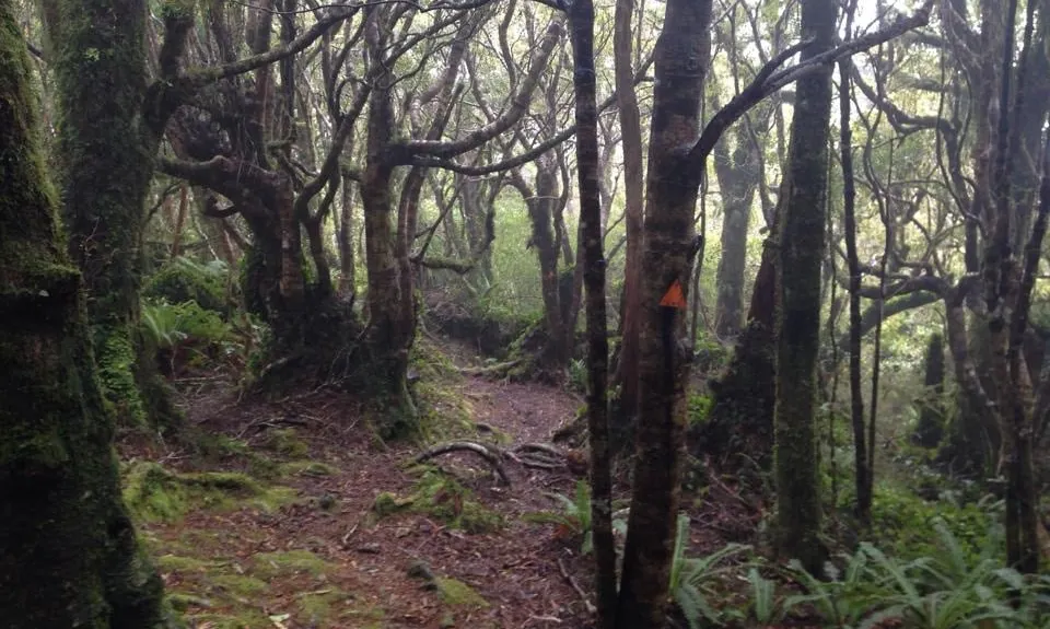 Where in the Whakanui?, Wellington
