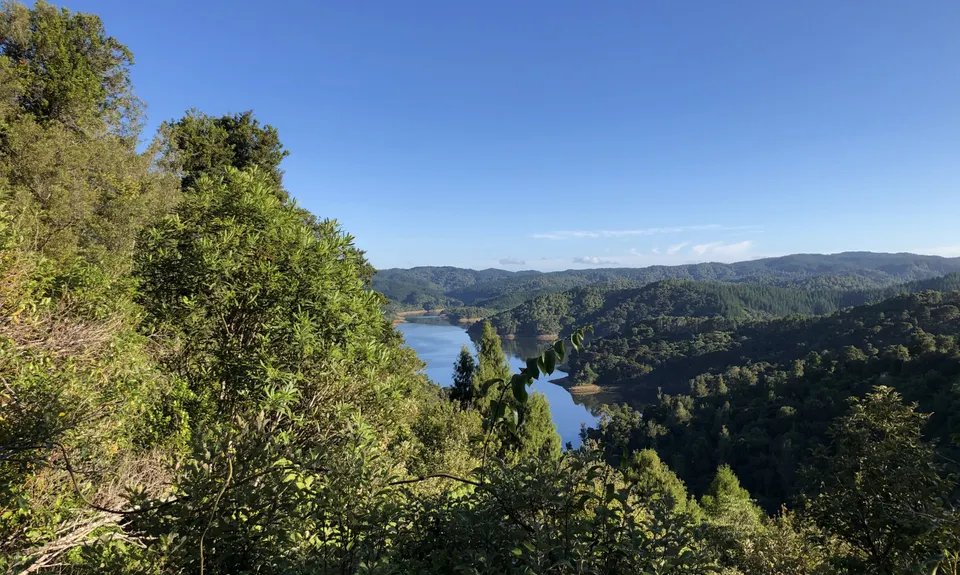 Hunua Falls - Cossey Massey Loop, Auckland