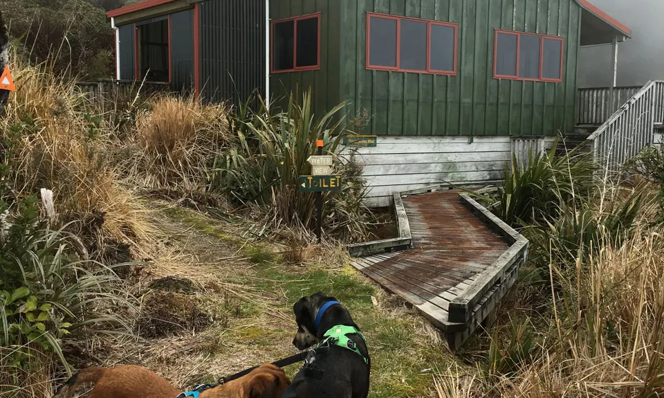 Waiopehu Gable Grunt, Manawatu - Wanganui