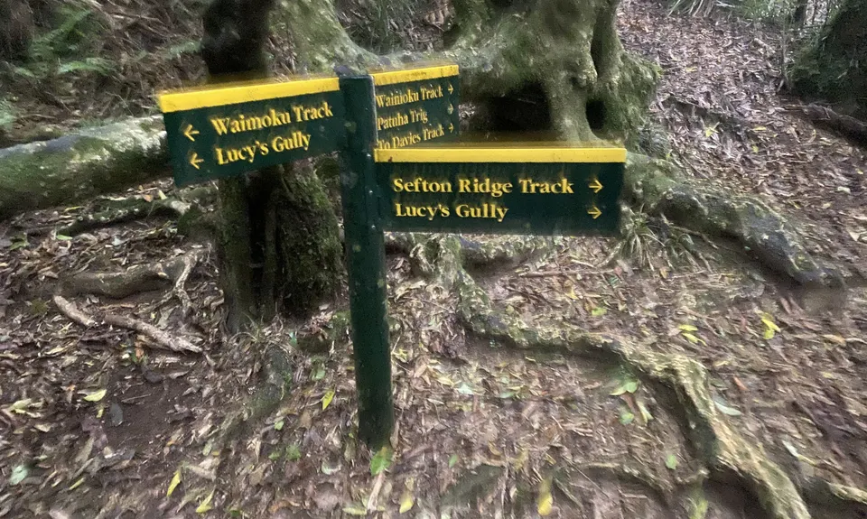Looping Lucys, Taranaki
