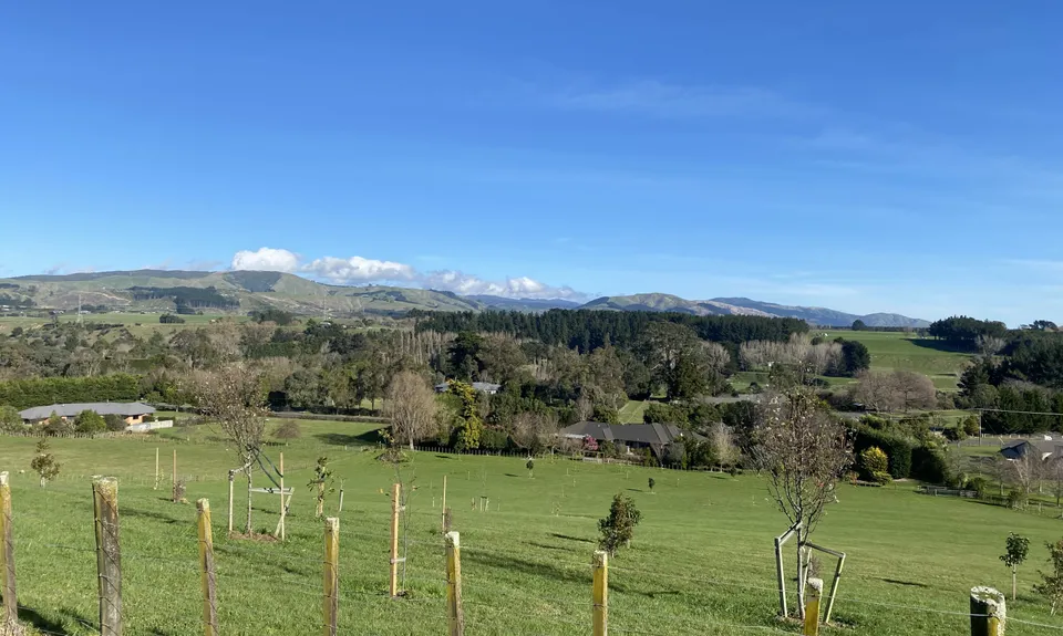 Summerhill Tracks, Manawatu - Wanganui