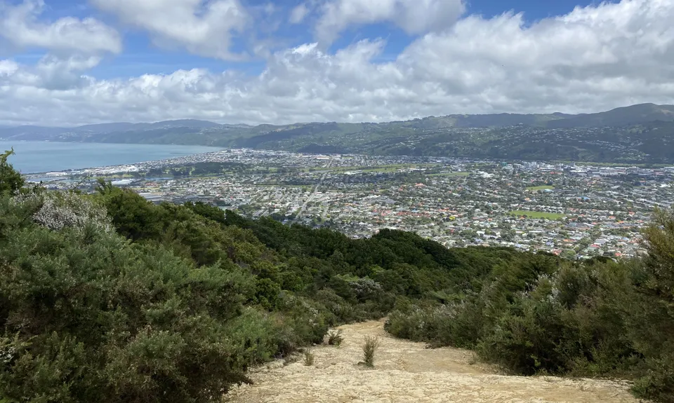 Te Whiti Firebreak Calf Burn, Wellington