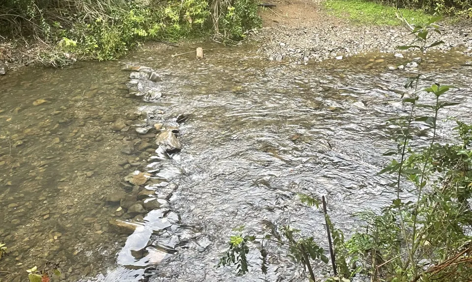 Ernie's loop, Auckland