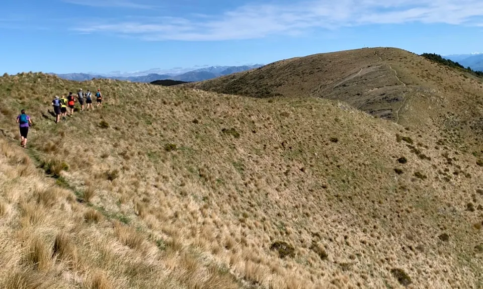 Mt Grey, Canterbury