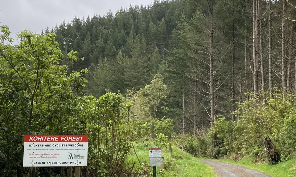 Muhunoa Loop Lung Buster , Manawatu - Wanganui