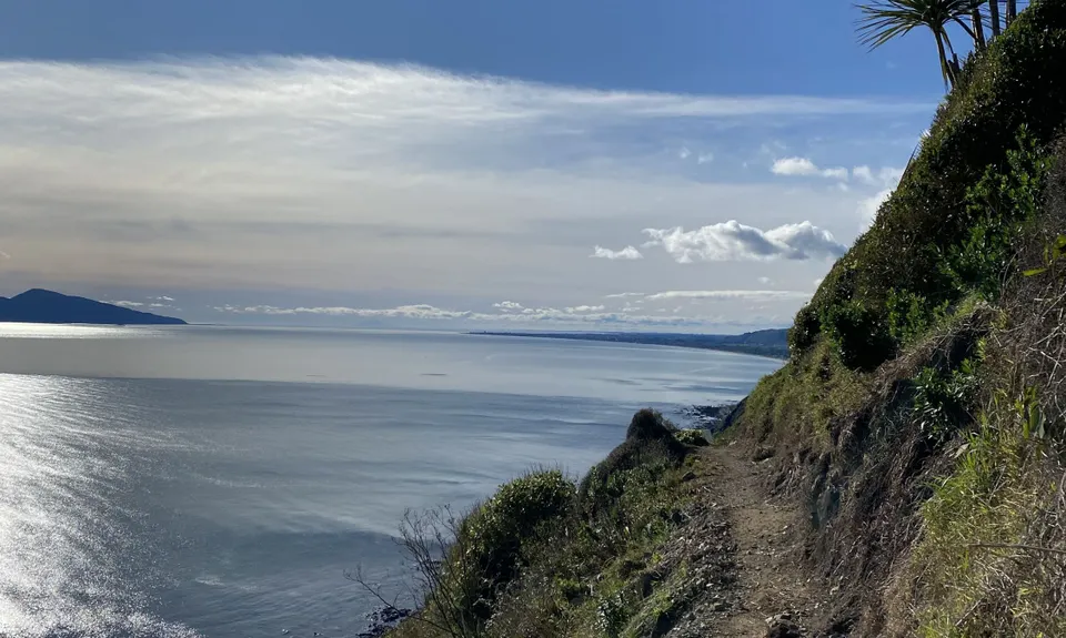 Escarpment Track, Wellington