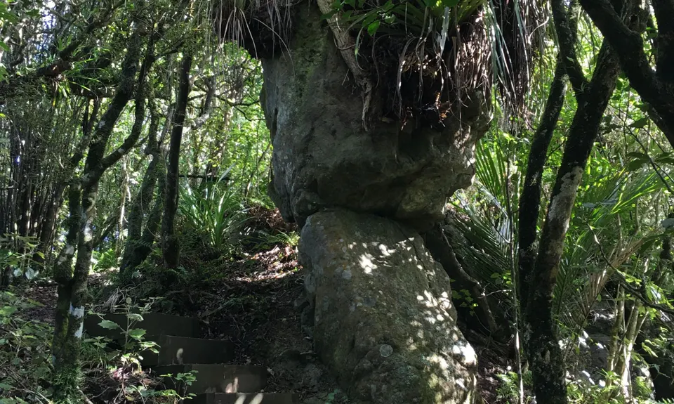 Bream Head Te Whara Trail, Northland