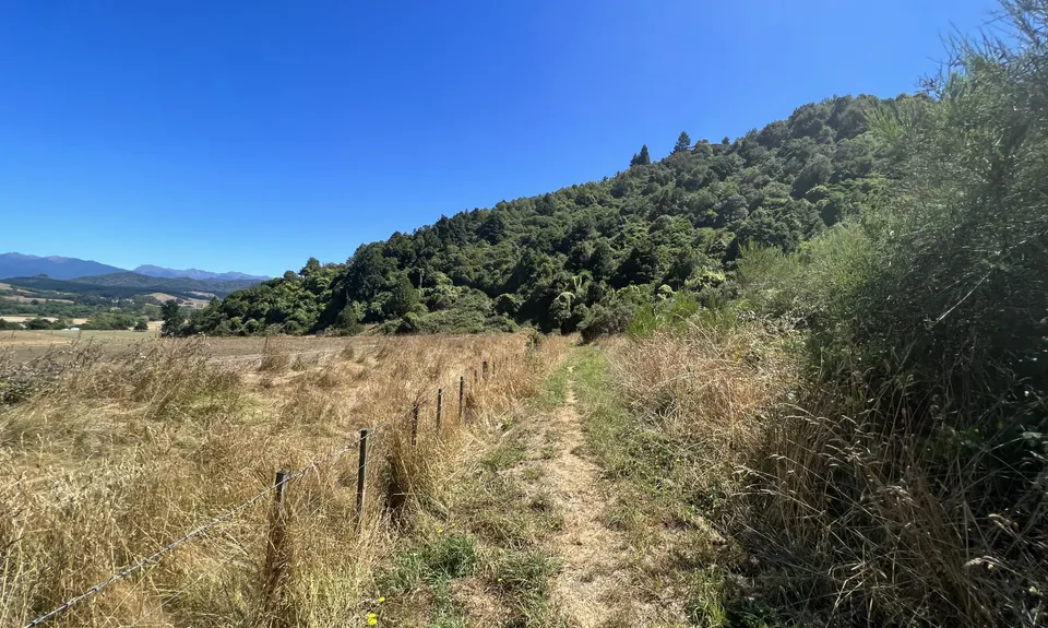 Tapawera Taster, Tasman