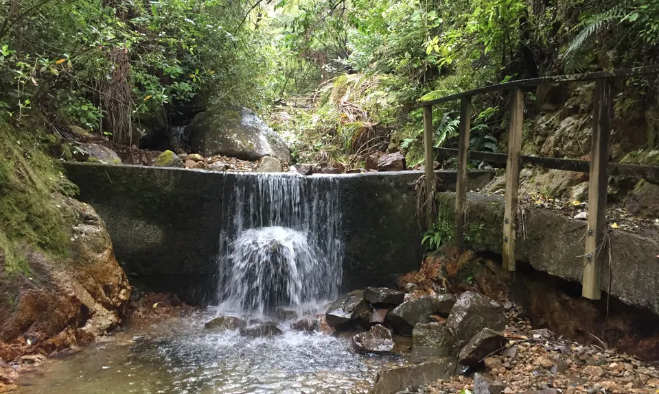 Te Aroha Summit Loop, Waikato
