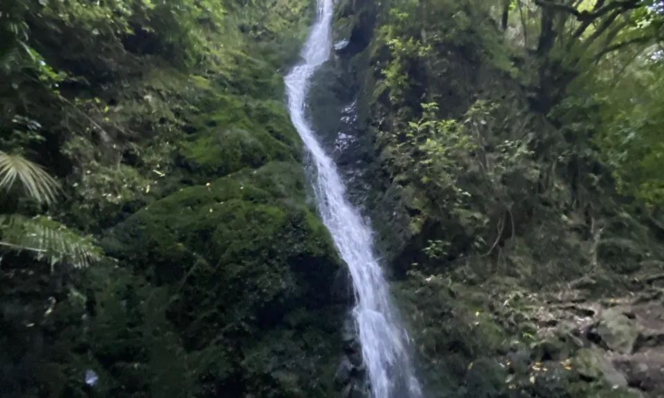 Sugarloaf and Waterfalls Loop, Wellington