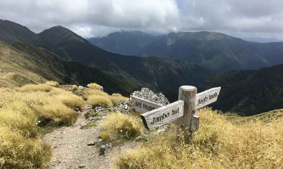 Jumbo - Holdsworth Circuit, Wellington