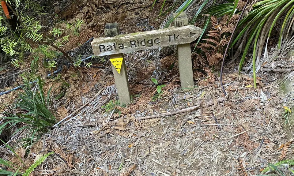 Rata Ridge - Hunua, Auckland