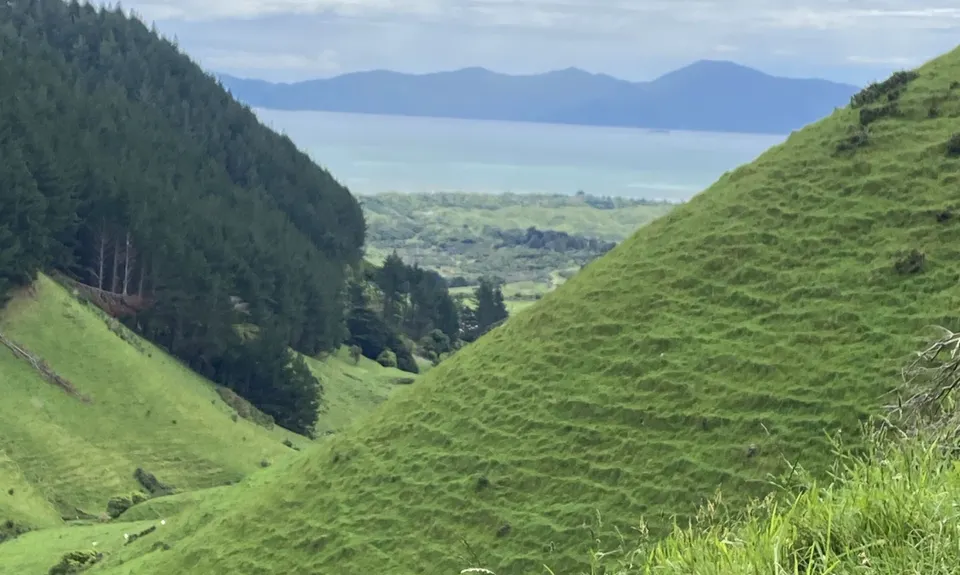Te Ara Ramaroa Loop, Wellington