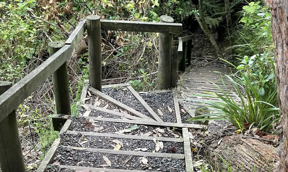 Inner City Bush Trails, Auckland