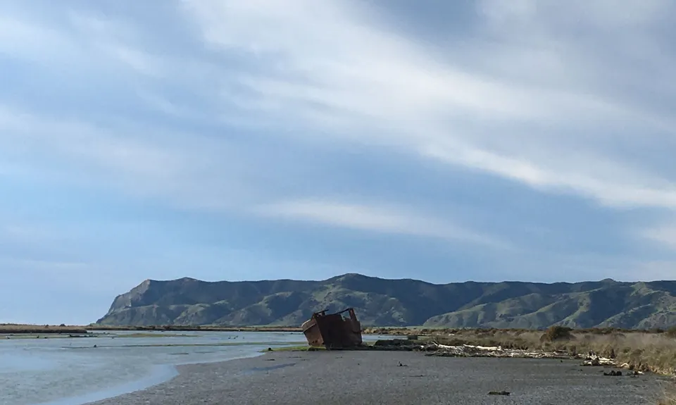 Wairau Lagoons Loop v2, Marlborough