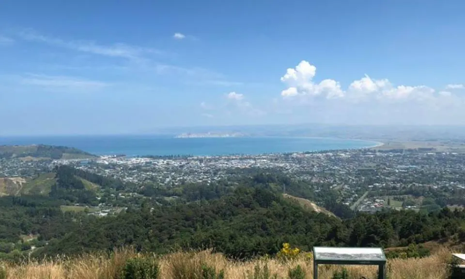Te Kuri Farm walkway, Gisborne