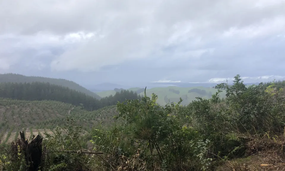 RTRC Club Track Loop, Bay of Plenty