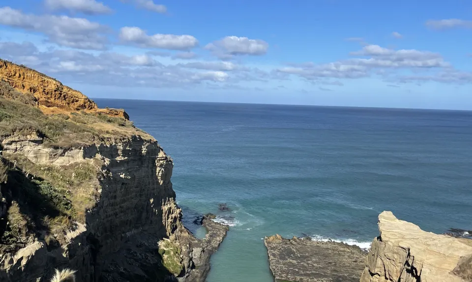 Te Henga Trail, Auckland