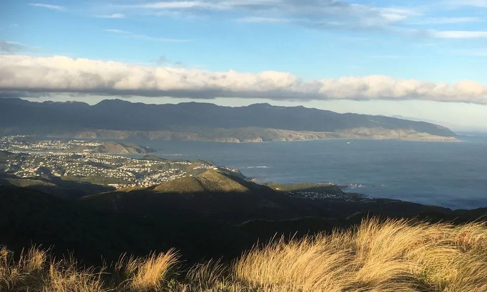 Aro Valley - Red Rocks Thigh Buster, Wellington