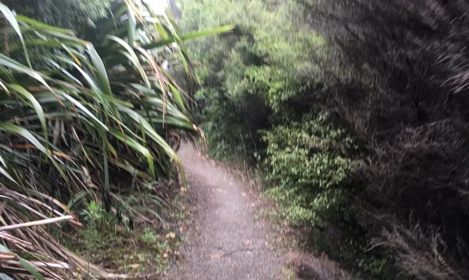 Puke Ariki (Point View Reserve), Auckland