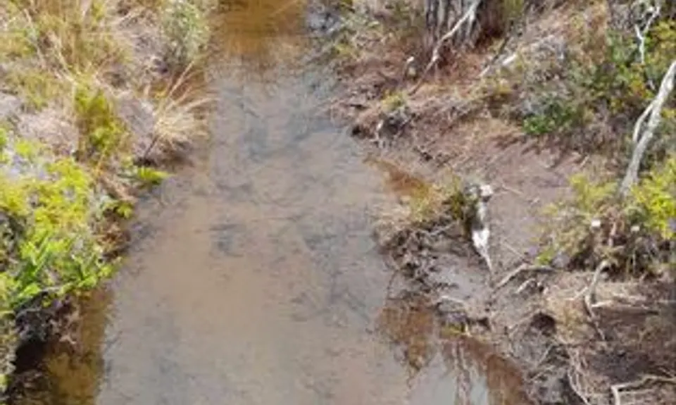 Mangahuia Meander, Manawatu - Wanganui
